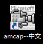 amcap中文版调试指南