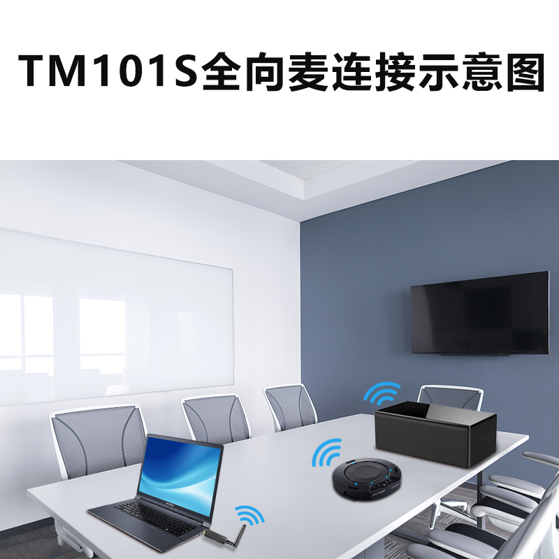 TM101S无线2.4G全向麦+无线数字有源音箱